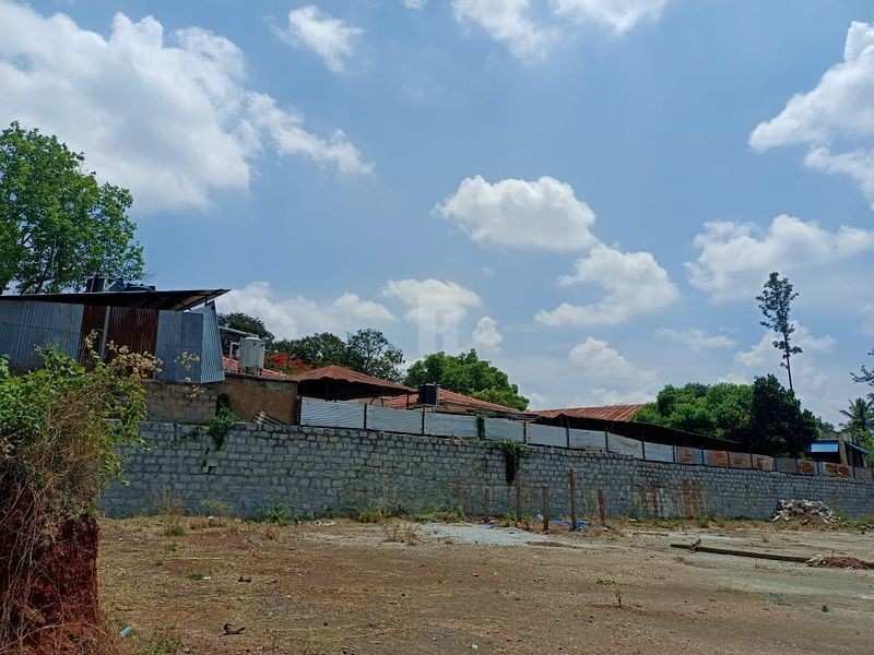 GURU PUNVAANII ETERNIA