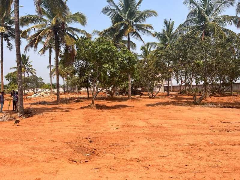 EQUINOX RAINDROP Image