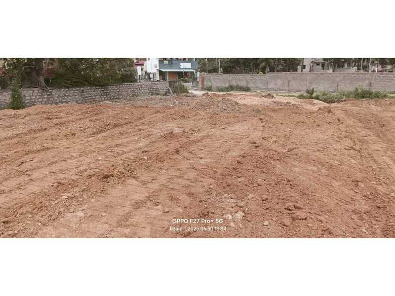 HARAPPA GREEN WOODS 4